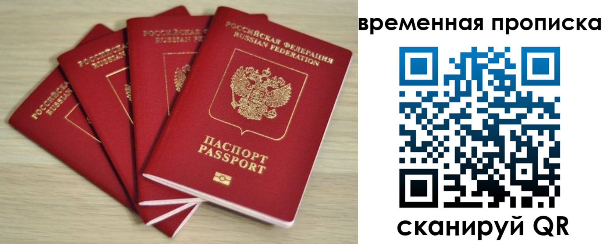 прописка для школы в Волжске
